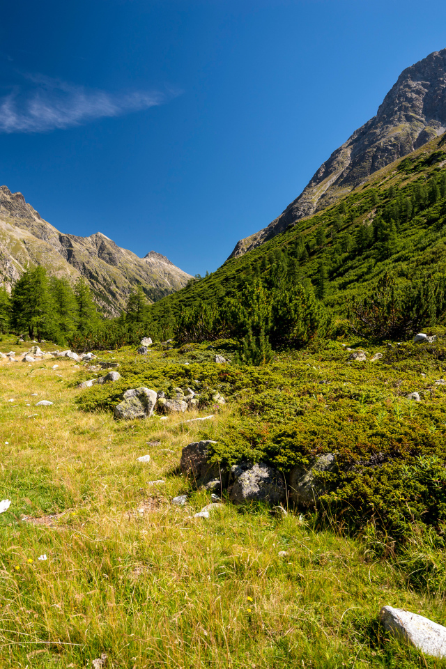 Красивый вид на покрытые зеленью горы под голубым небом
