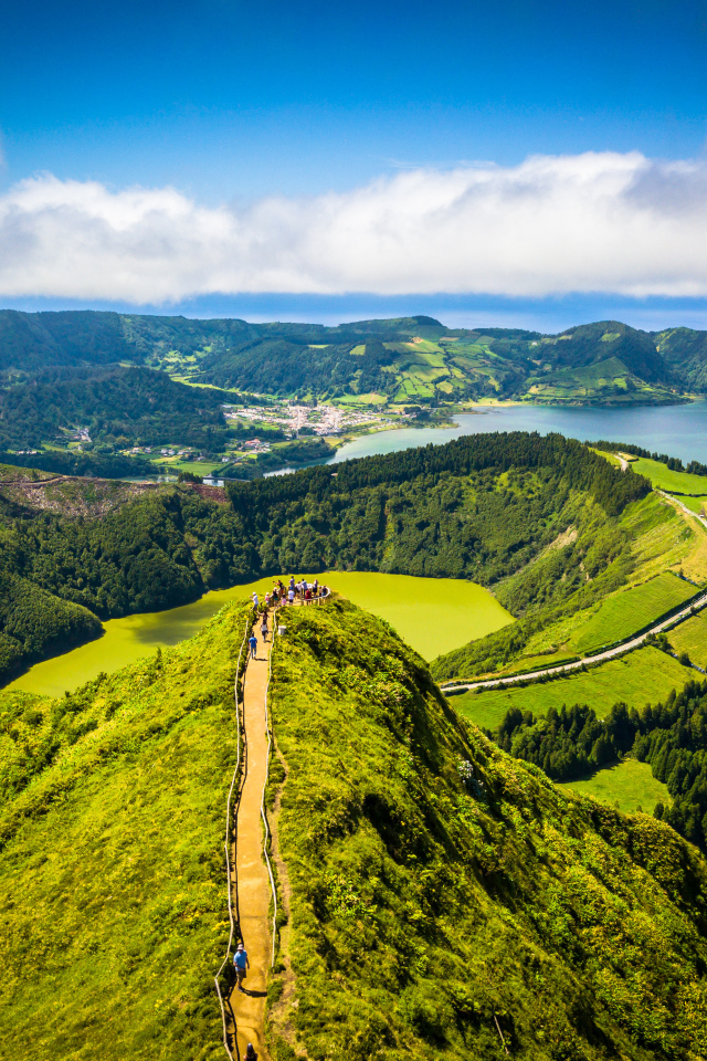 Покрытые зеленью горы в живописном фьорде 