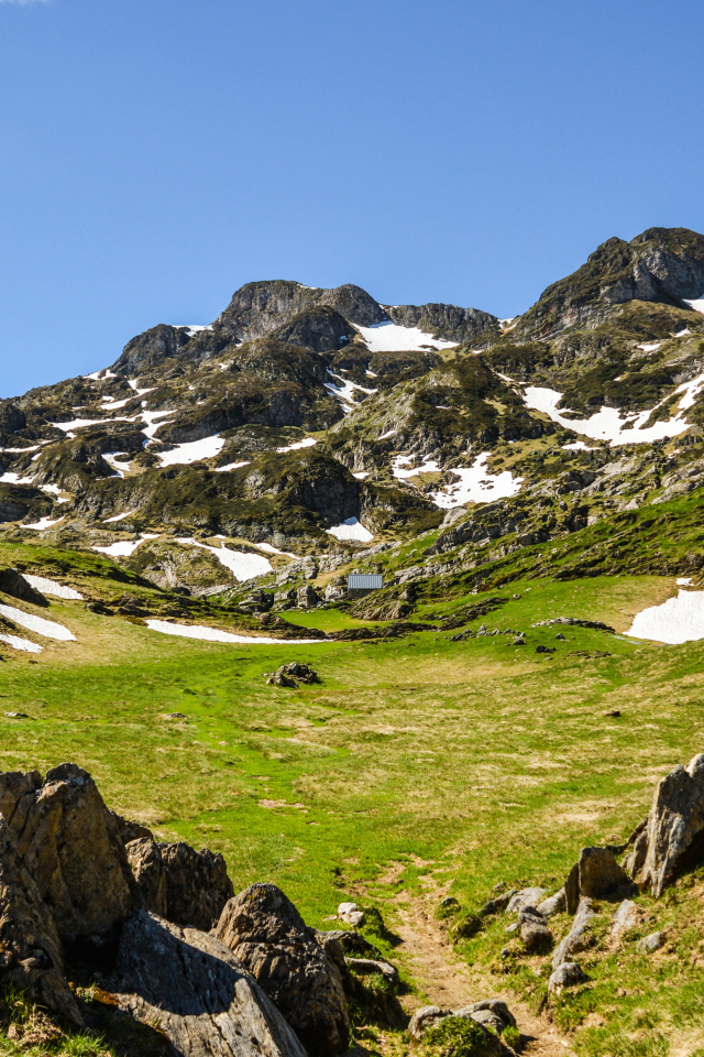 Зеленая трава у подножия заснеженных гор 