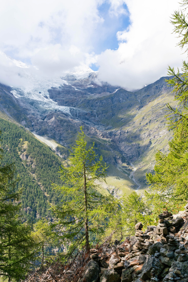Высокие покрытые хвойным лесом горы под облачным небом 
