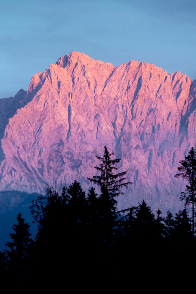 Высокие горы в лучах солнца у хвойного леса 