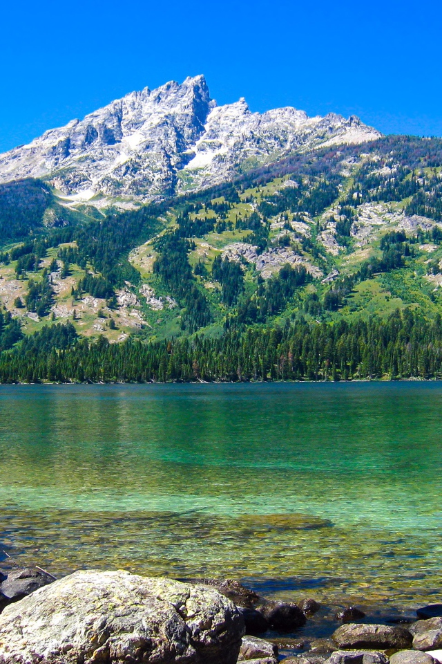 Большая покрытая растительностью  гора у озера