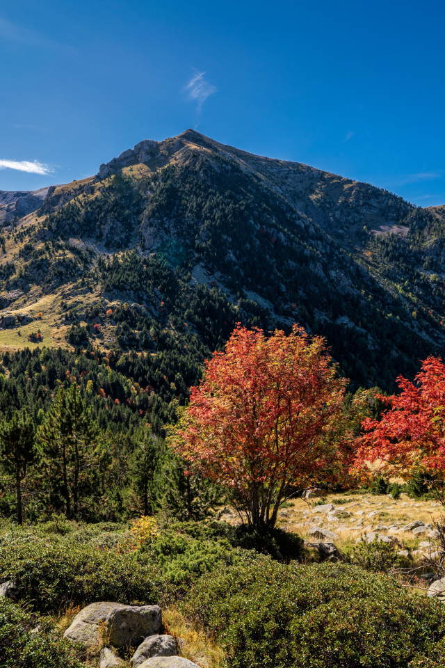 Вид на гору под голубым небом