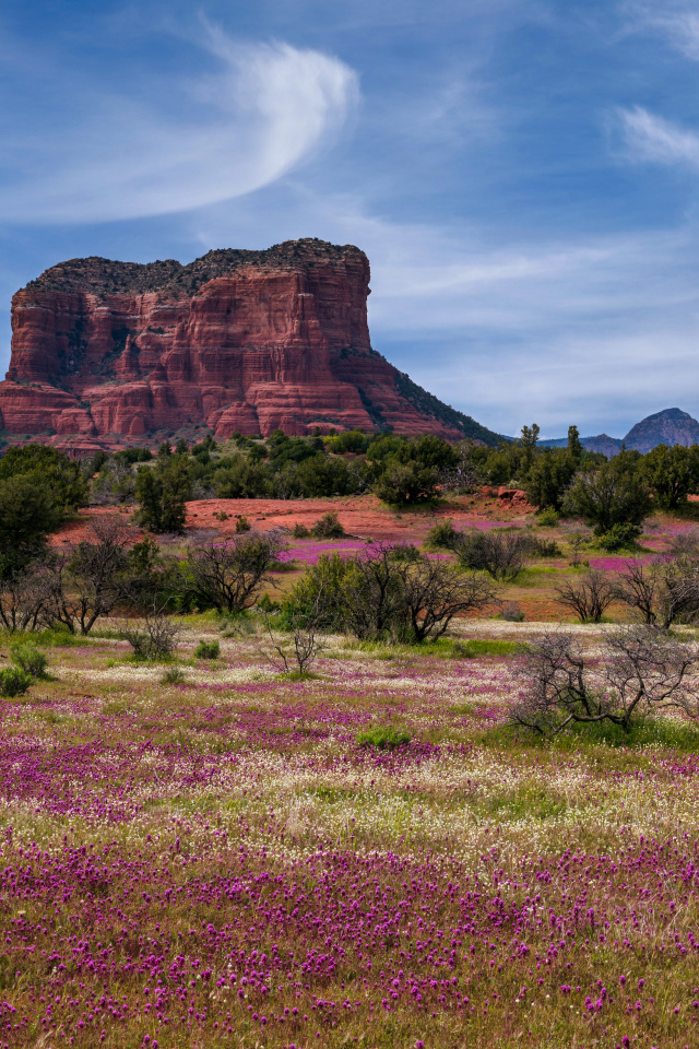 Скалистые горы под красивым голубым небом, США