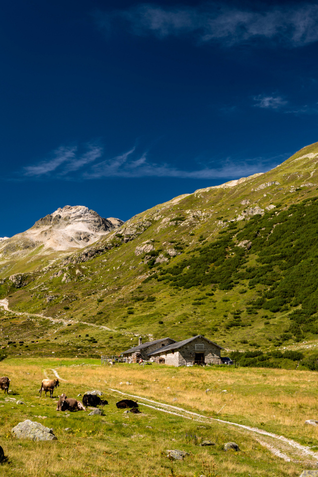 Поселение у покрытых зеленью гор под голубым небом