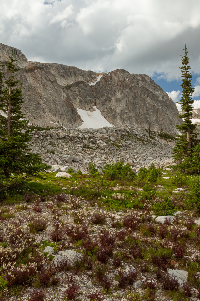 Ели у подножия каменных гор под небом с белыми облаками