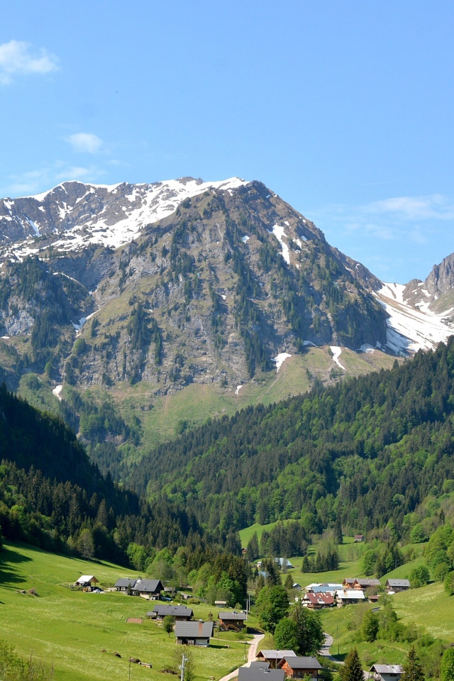 Вид на заснеженные горы и зеленый лес под голубым небом 
