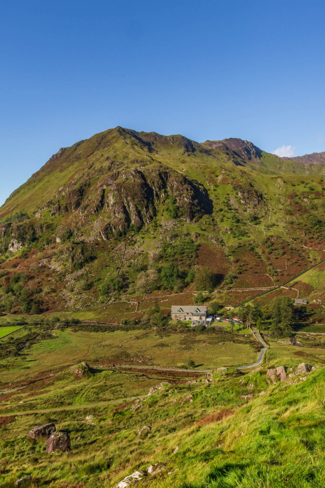 Вид на покрытую зеленью гору под голубым небом