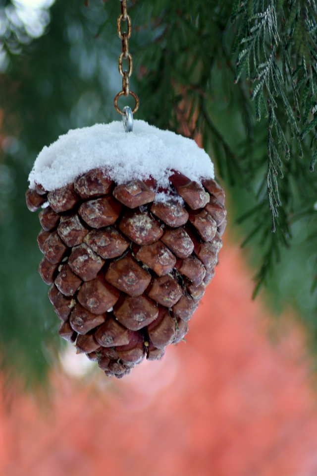 Шишка на цепочке висит на ветке туи 