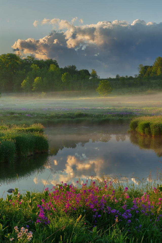 Туман над полем у реки на рассвете 