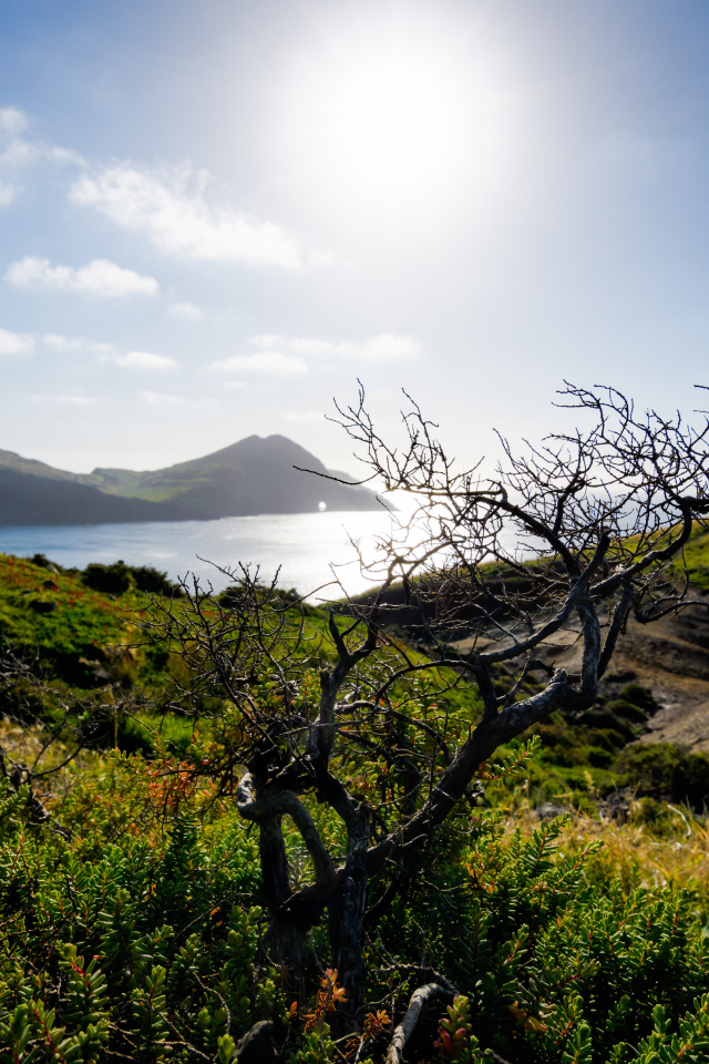 Зеленые утесы у моря на фоне яркого солнца