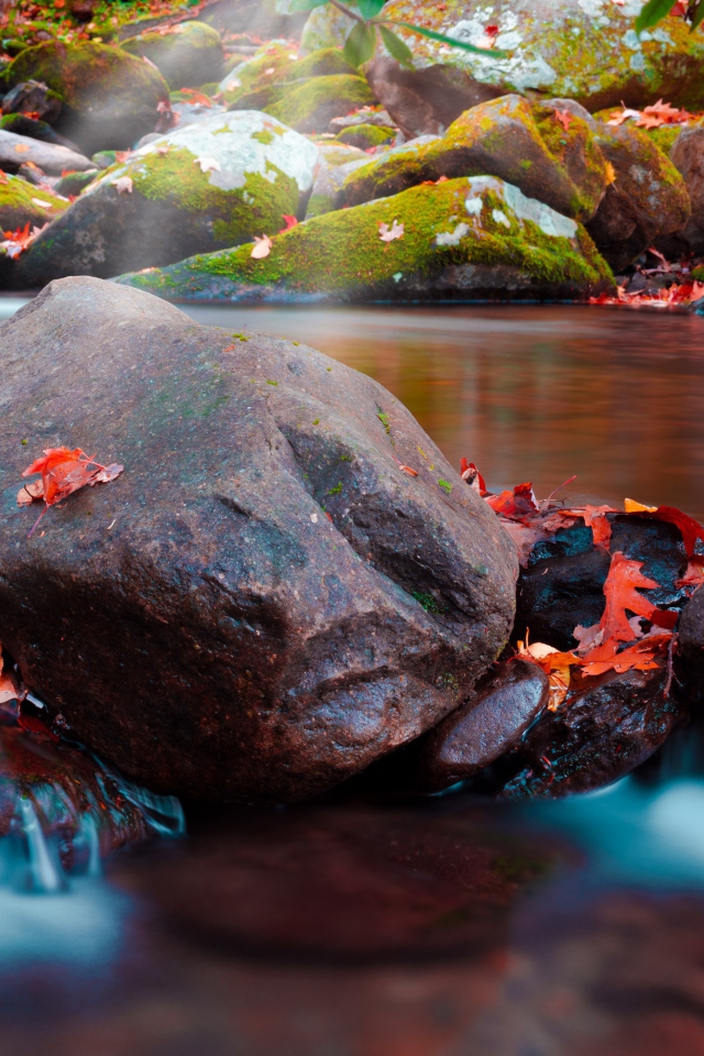 Большие мокрые камни с мхом в реке