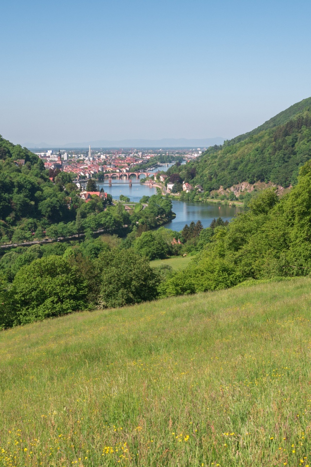 Вид с зеленого холма на реку 