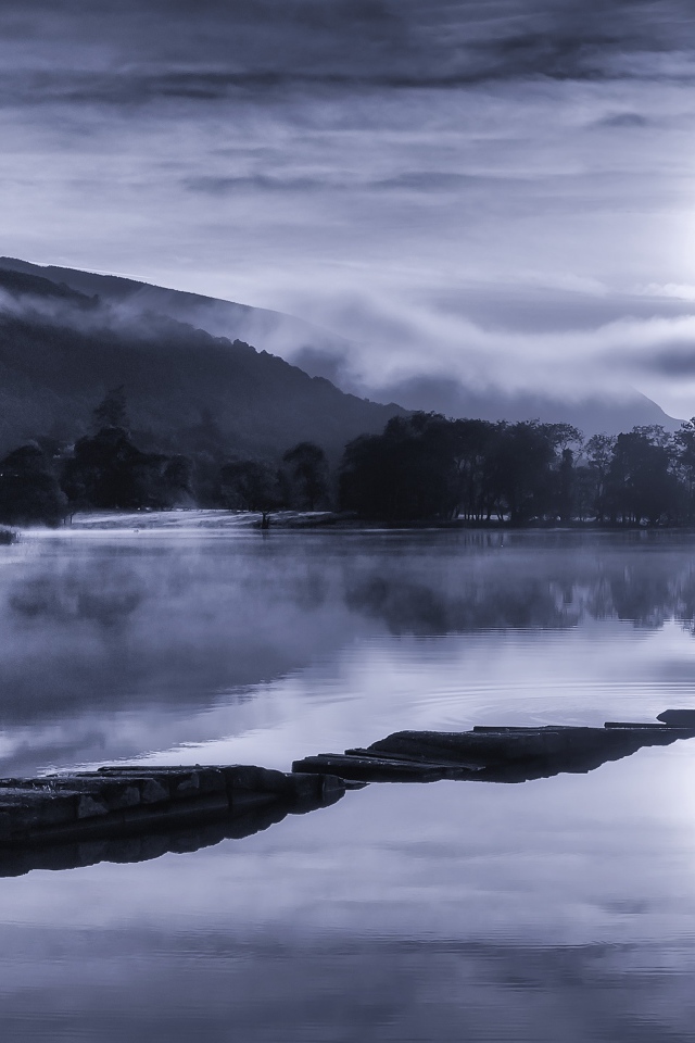 Мужчина стоит на мосту у озера ночью при свете луны