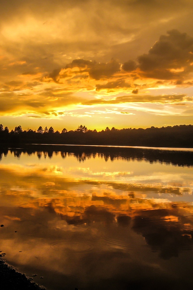 Красивый рассвет над спокойной рекой 