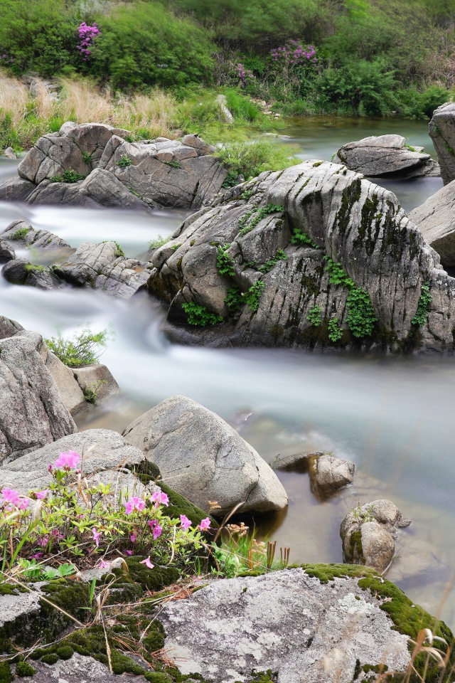 Большие камни в горной реке 