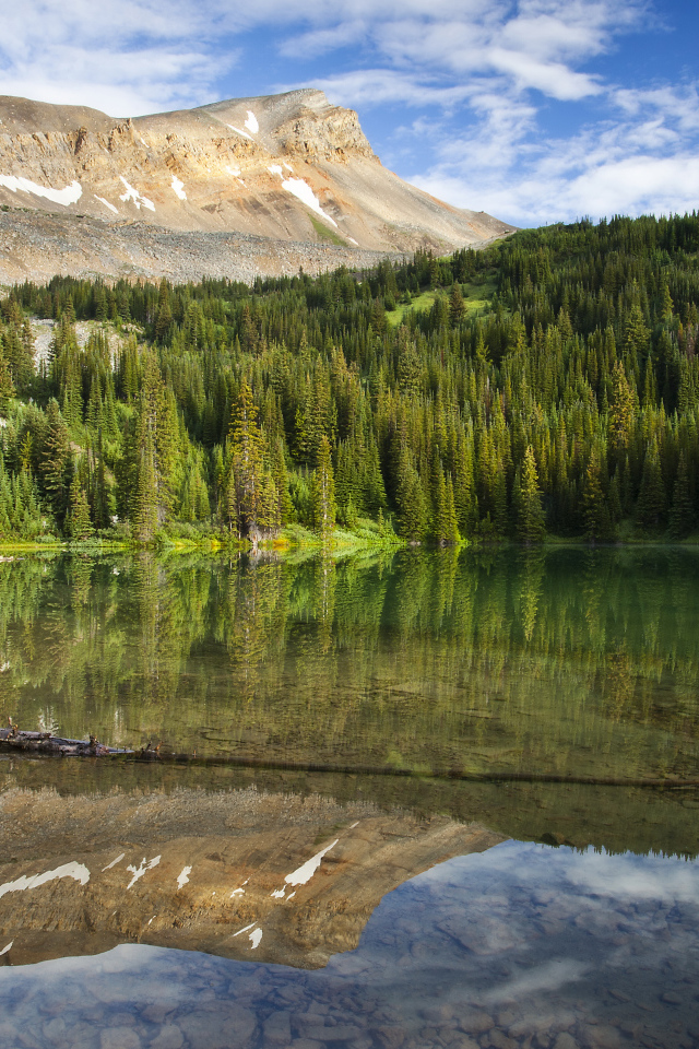 Спокойная чистая вода в озере под голубым небом у хвойного леса 