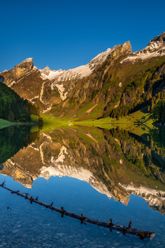 Чистая вода в озере у подножия гор, Швейцария 