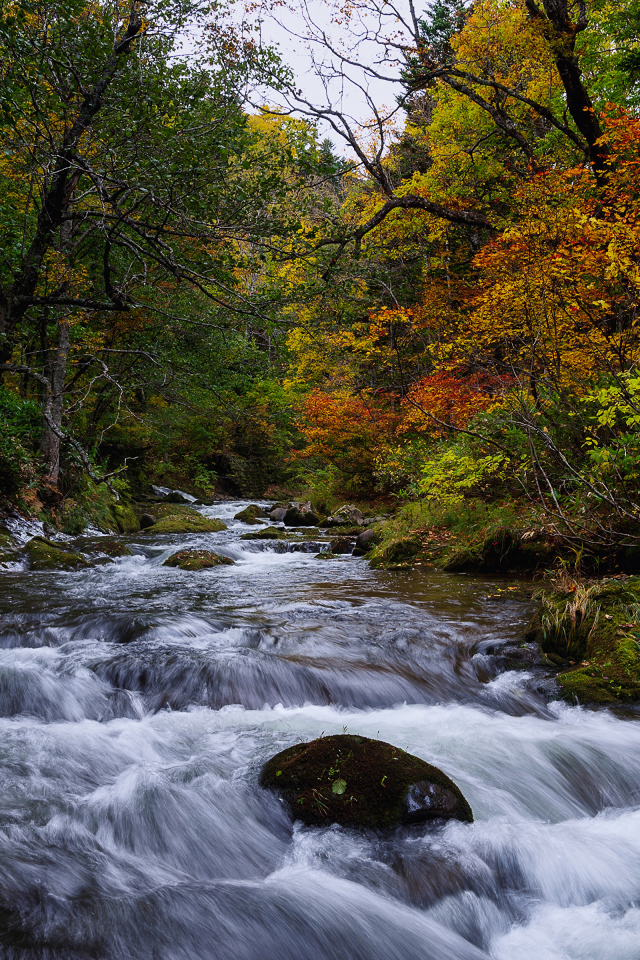 Быстрая вода в реке в лесу осенью