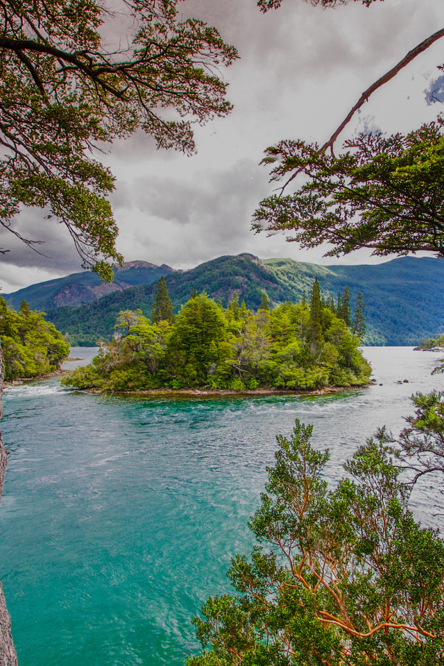 Зеленый остров посередине реки с голубой водой 