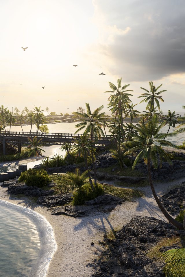 Зеленые пальмы на тропическом пляже в океане