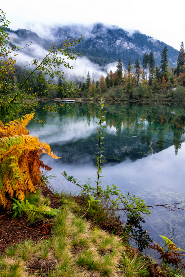 Туман покрывает горы у спокойного озера на рассвете 