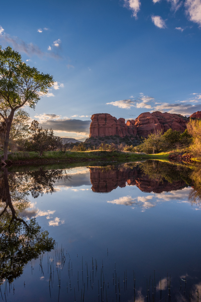Яркое солнце пробивается сквозь деревья у пруда