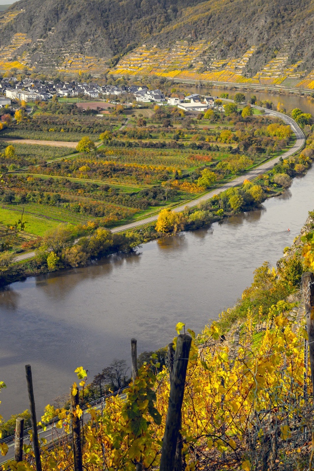 Вид сверху на реку и виноградники 