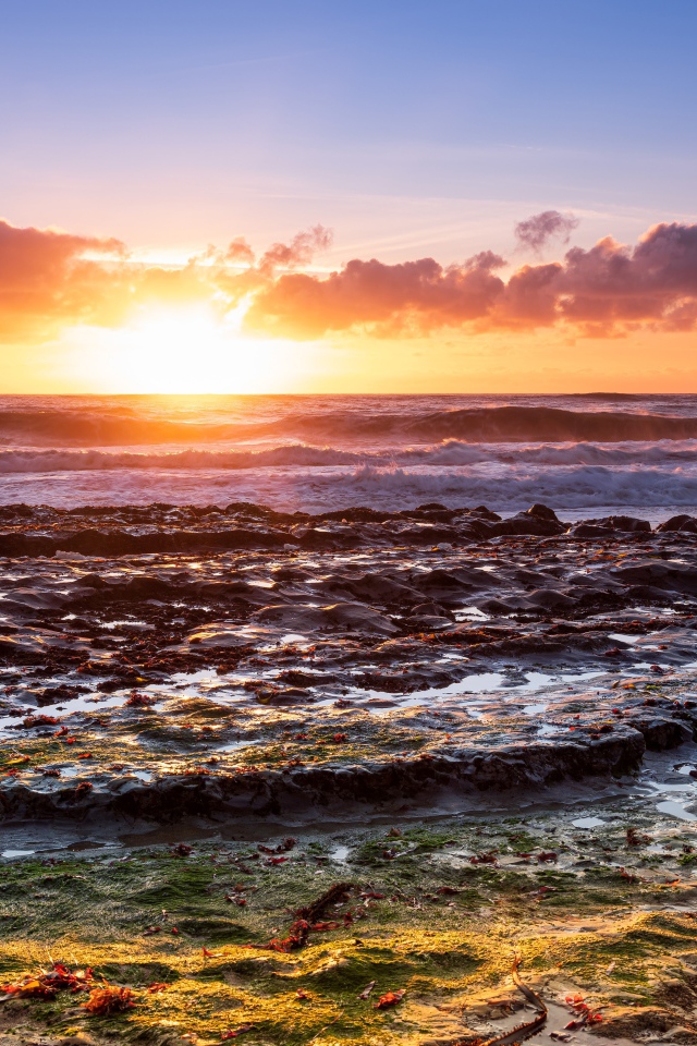 Большой камень в морской воде на рассвете 