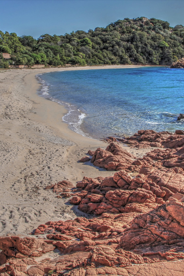 Камни на берегу моря у леса 