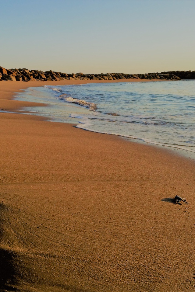 Камни на мокром песке к моря 