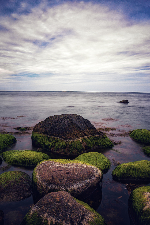 Мокрые покрытые зеленым мхом камни в море 