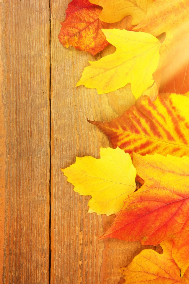 Желтые опавшие листьями на деревянном столе 