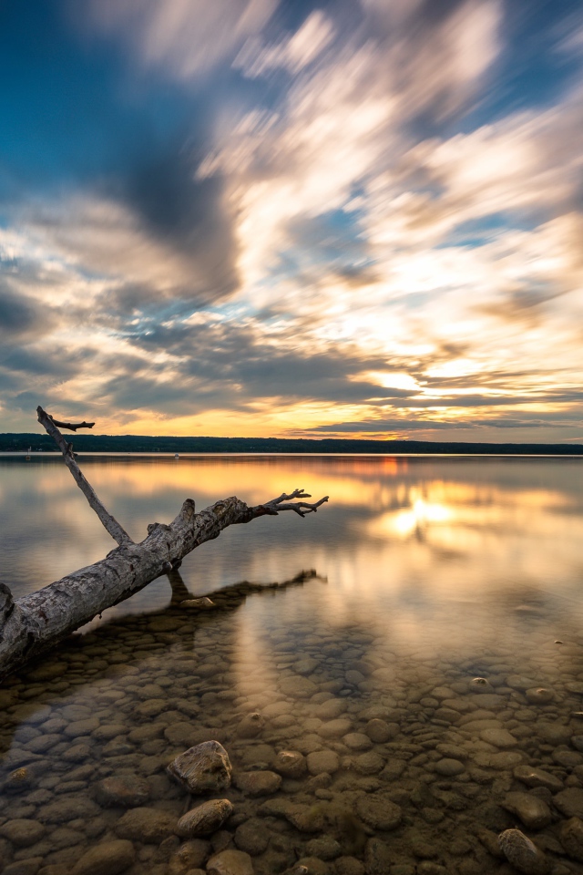Старое дерево лежит в воде на закате солнца 