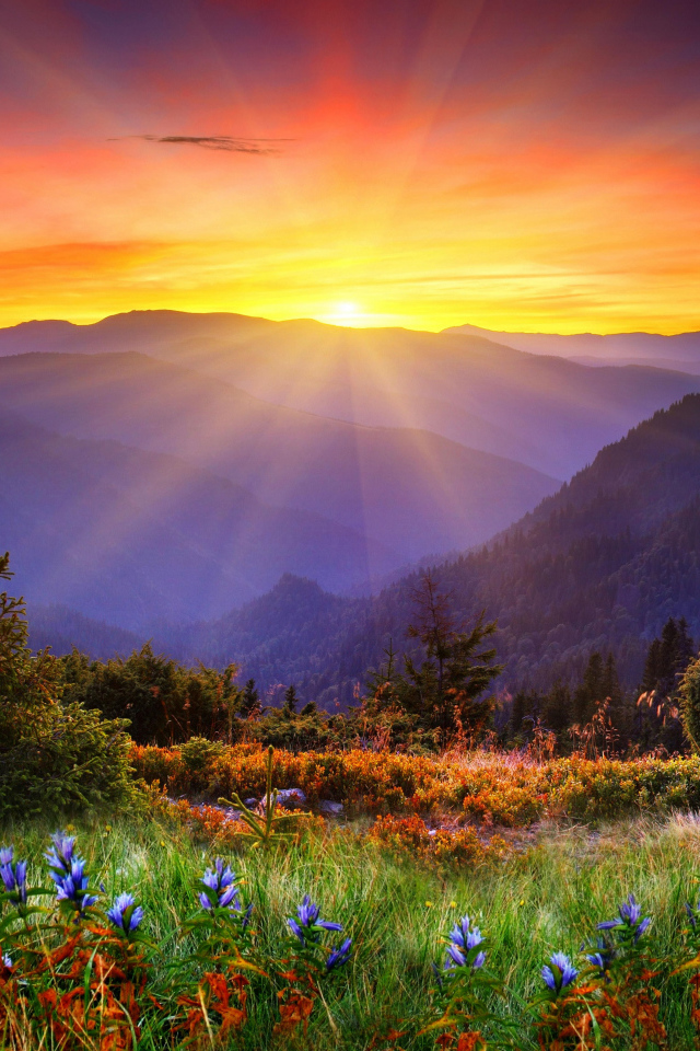 Яркое солнце покрывает вершины гор и красивую природу 