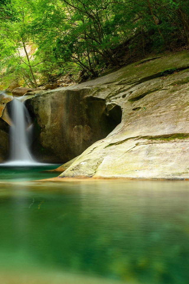 Водопад стекает по скале в озеро в лесу