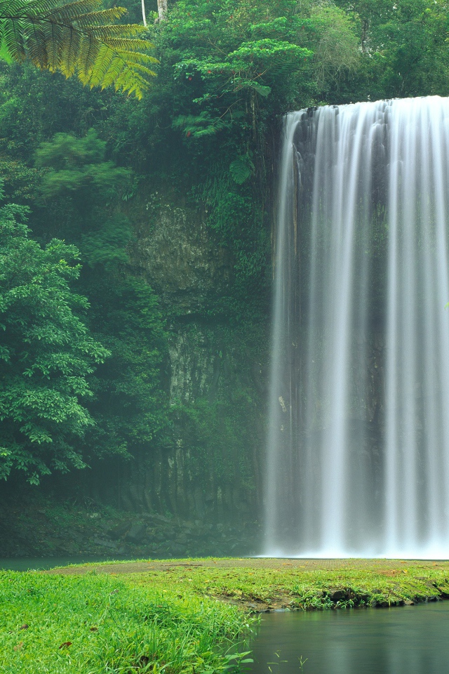 Водопад Миллаа Миллаа  в зеленых зарослях, Австралия