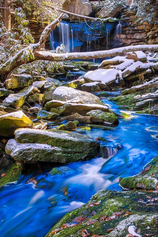 Первый снег покрыл камни у лесного ручья