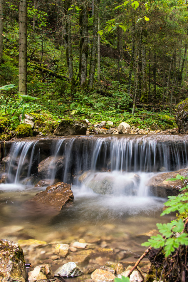 Водопад стекает по заросшим камням в лесу 