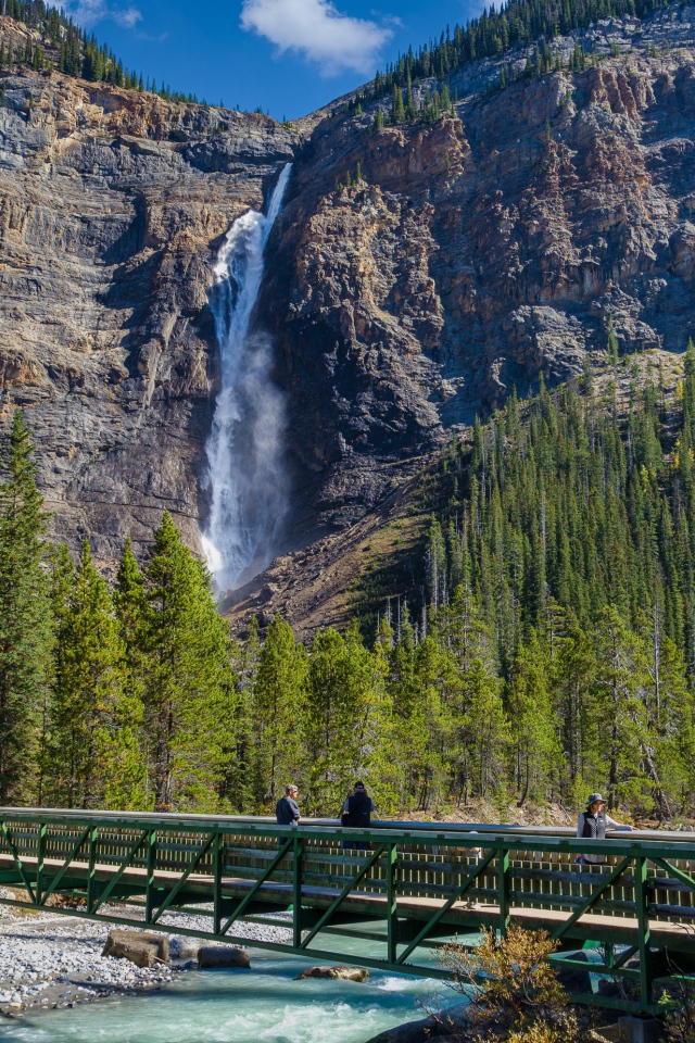Водопад стекает по скале у  хвойного леса 
