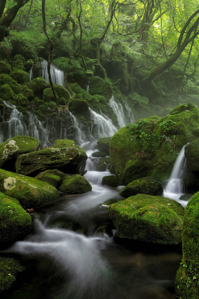 Вода стекает по старым покрытым мхом камням