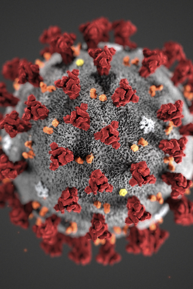 Коронавирус COVID-19 на сером фоне