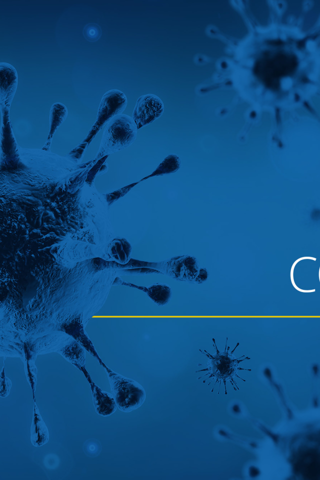 Пандемия коронавирус covid-19, 2020 год 