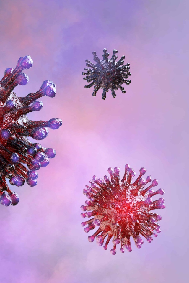 Вирусы коронавируса covid-19 на фиолетовом фоне