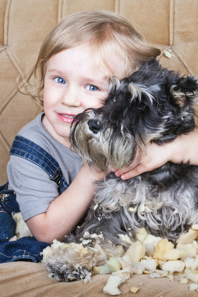 Маленький мальчик сидит на диване с собакой породы Шнауцер