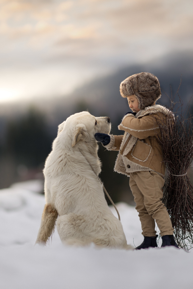 Маленький мальчик с большой белой собакой в лесу 