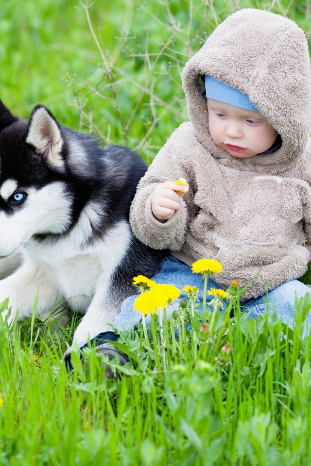 Маленький ребенок сидит в зеленой траве с хаски 