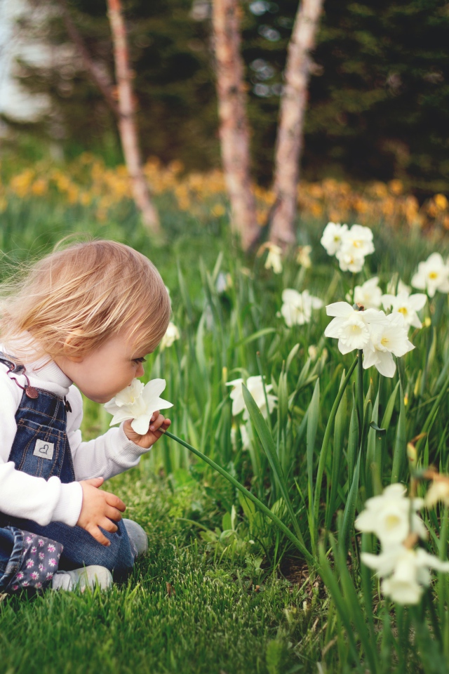 Маленький ребенок сидит на земле с нарциссами