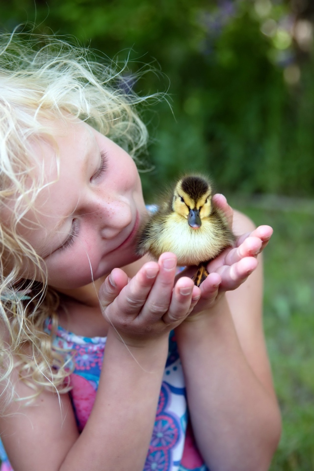 Маленькая милая девочка с утенком в руке
