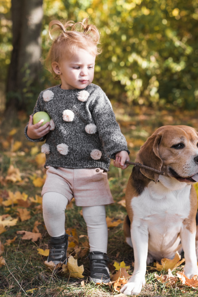 Little girl walking a dog in autumn park